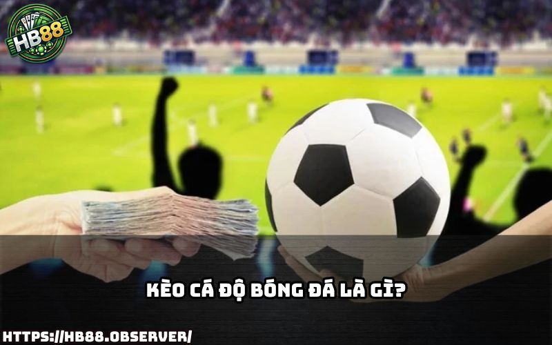 Kèo Cá Độ Bóng Đá tại HB88 là gì? Cùng tìm hiểu khái niệm và cách đọc kèo siêu dễ hiểu