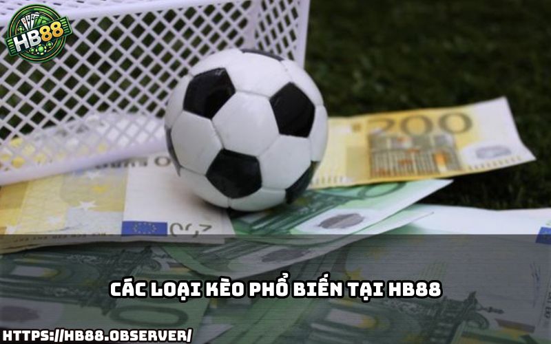 HB88 cung cấp đa dạng Kèo Cá Độ Bóng Đá giúp anh em thoải mái chọn kèo dễ ăn nhất hiện nay