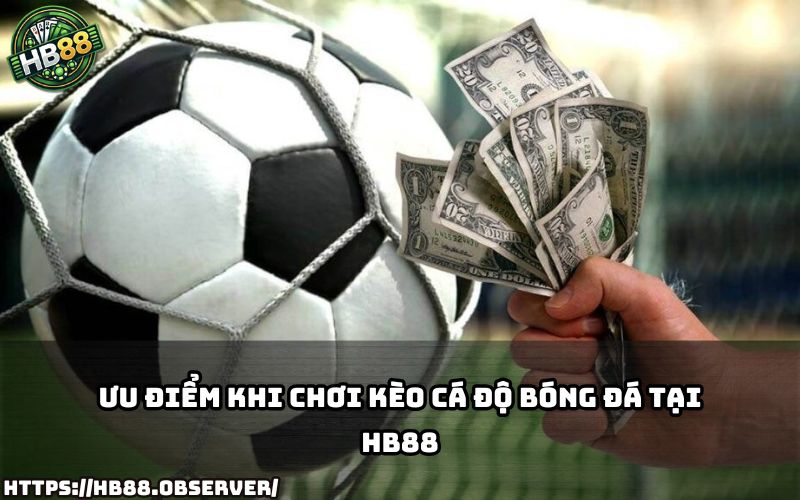 Khám phá lý do vì sao Kèo Cá Độ Bóng Đá tại HB88 luôn được anh em lựa chọn hàng đầu khi chơi cược