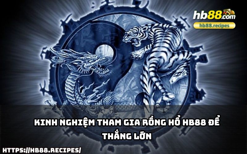 Tích lũy kinh nghiệm chơi Rồng Hổ HB88 từ cao thủ để tăng cơ hội thắng lớn mỗi ngày.